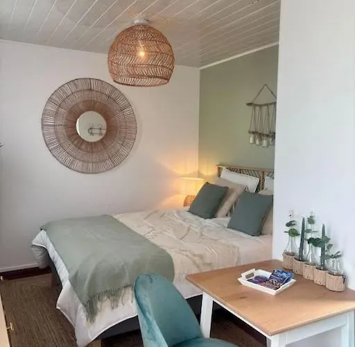 Grand Large Terrasse Front De Barcares Apartment